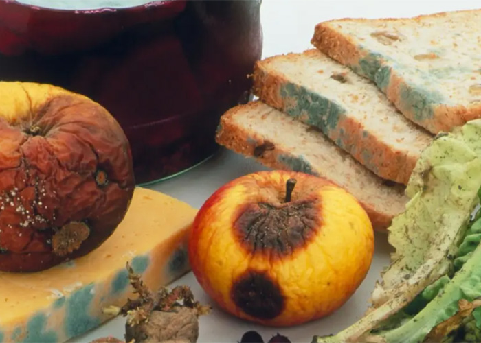 上海清關速食飯報廢處理企業2022已更新(今日/資訊) 上海清關速食飯報廢處理企業2022已更新(今日/資訊)