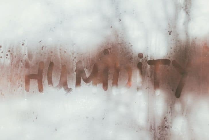 潮濕是如何造成空氣污染的？