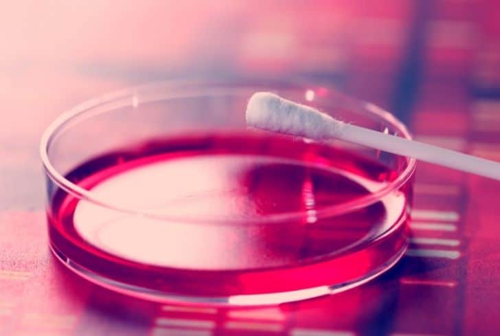 Q-Tips 是否可回收？