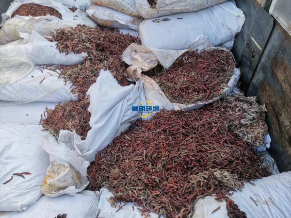 案例|某公司海關產品銷毀